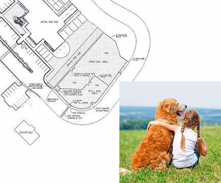 Katie's Dog Park